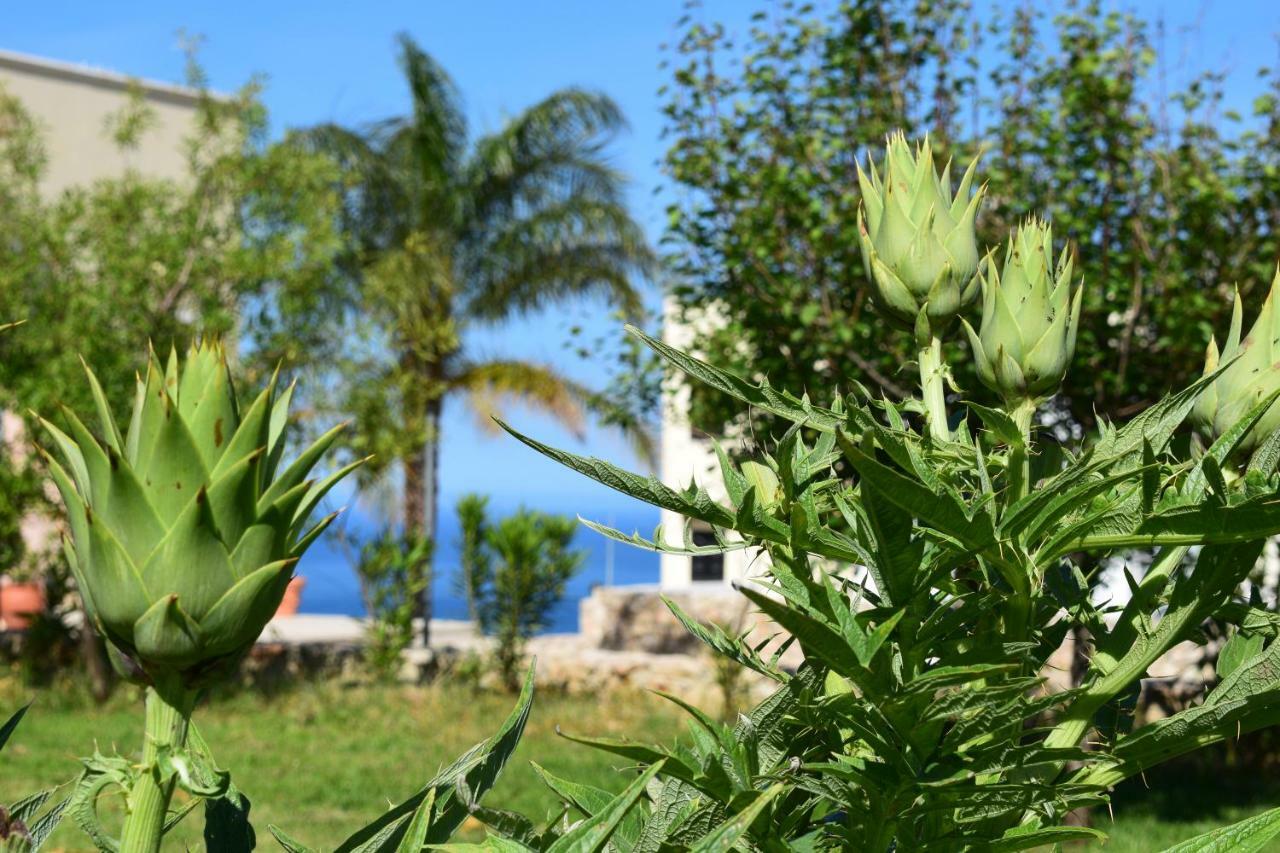 فيلا Anna'S Stone House Megala Chorafia المظهر الخارجي الصورة